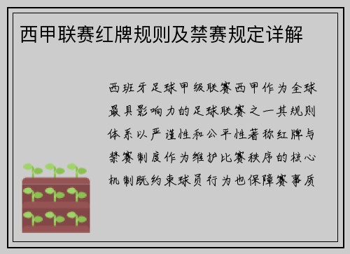 西甲联赛红牌规则及禁赛规定详解
