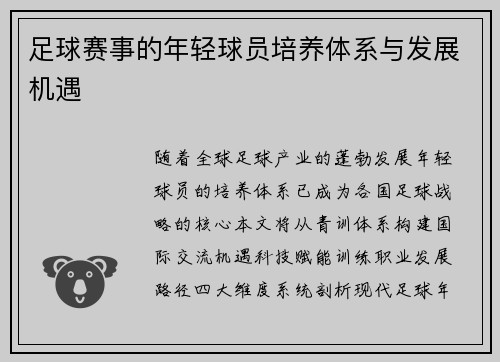 足球赛事的年轻球员培养体系与发展机遇
